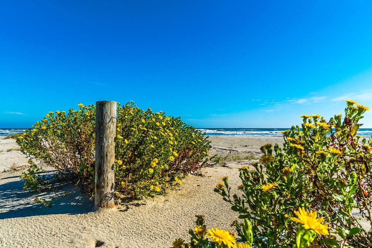 Blue Skies Ahead Quick Walk Into Town And Beach Galveston Eksteriør billede